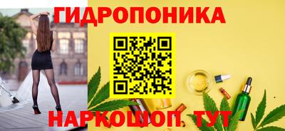 альфа пвп Ачхой-Мартан